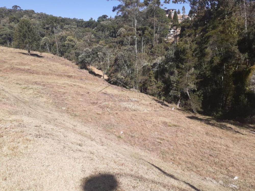 Terreno residencial à venda por R$ 1.000.000,00 - Campos do Jordão/SP