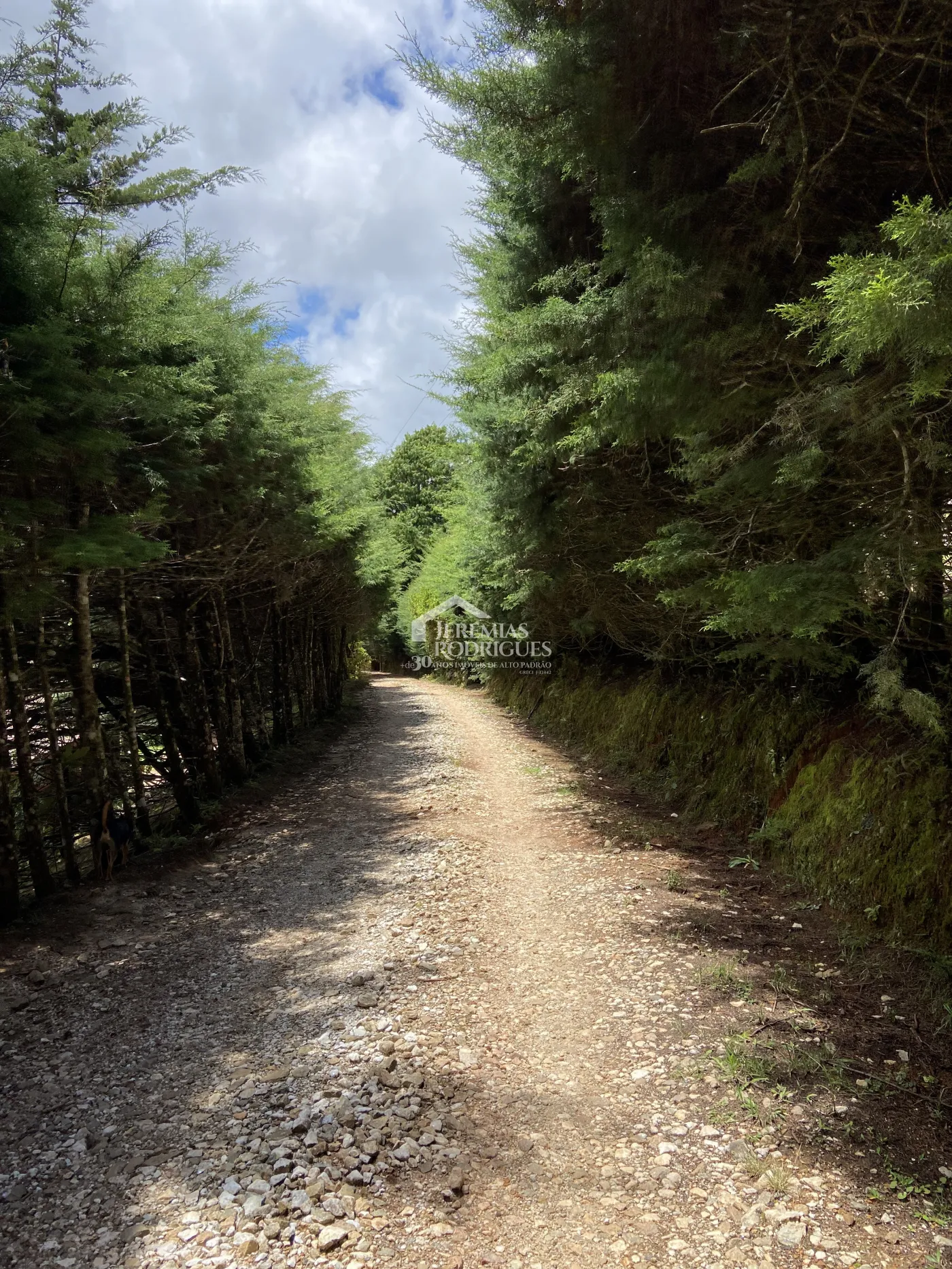 Fazenda à venda com 5,2 hectares em São Bento do Sapucaí/SP