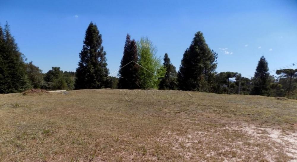 Terreno residencial à venda por R$ 1.150.000,00 - Campos do Jordão/SP