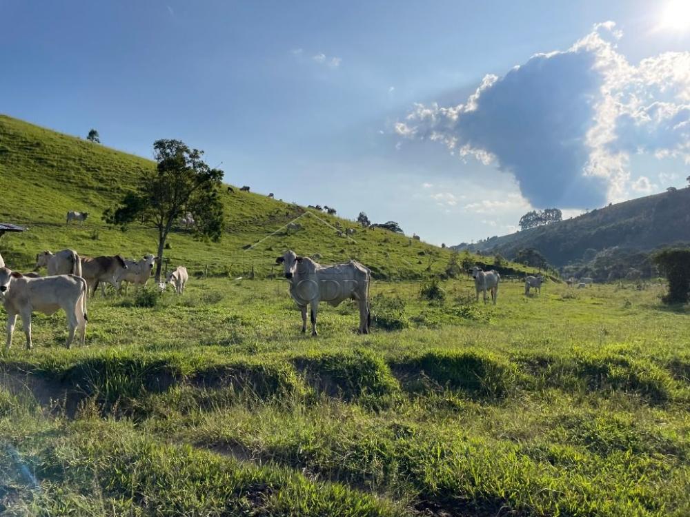 Fazenda à venda em Cunha/SP