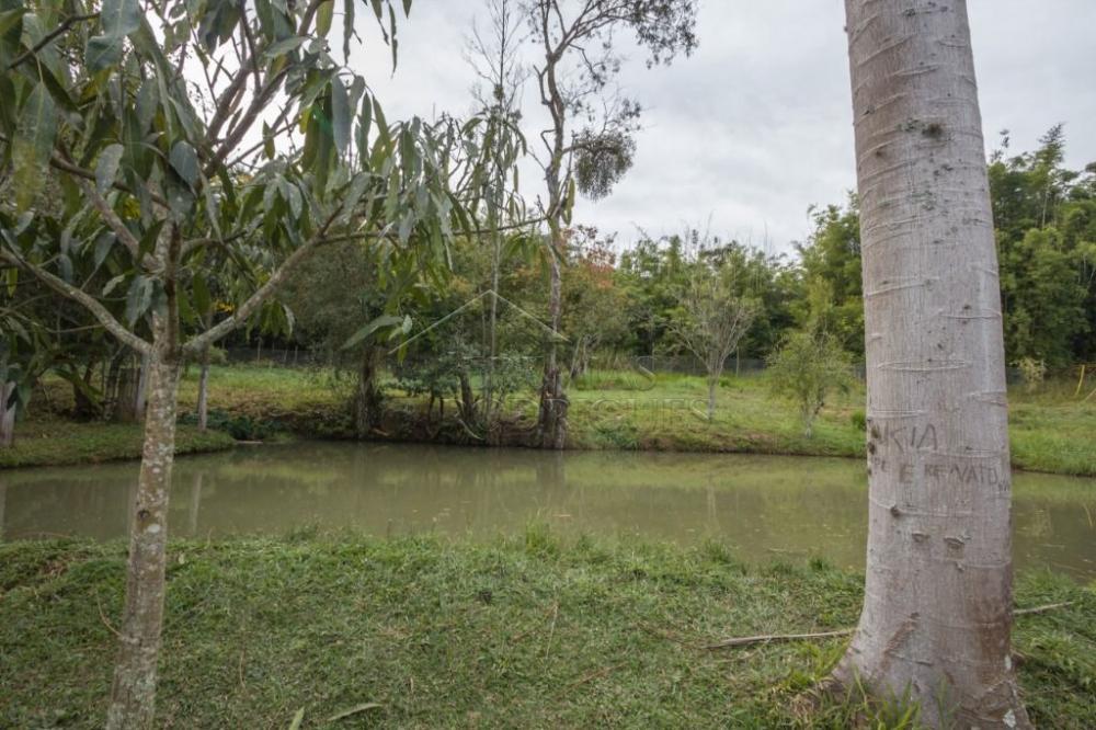 Rural misto à venda por R$ 20.000.000,00 - Roseira/SP