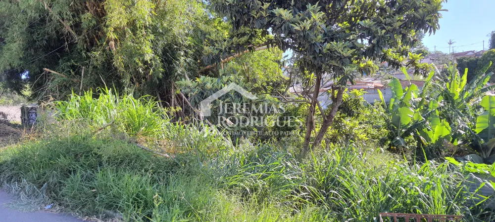 Terreno com 1300 m² - Jardim Paulista - Taubaté/SP