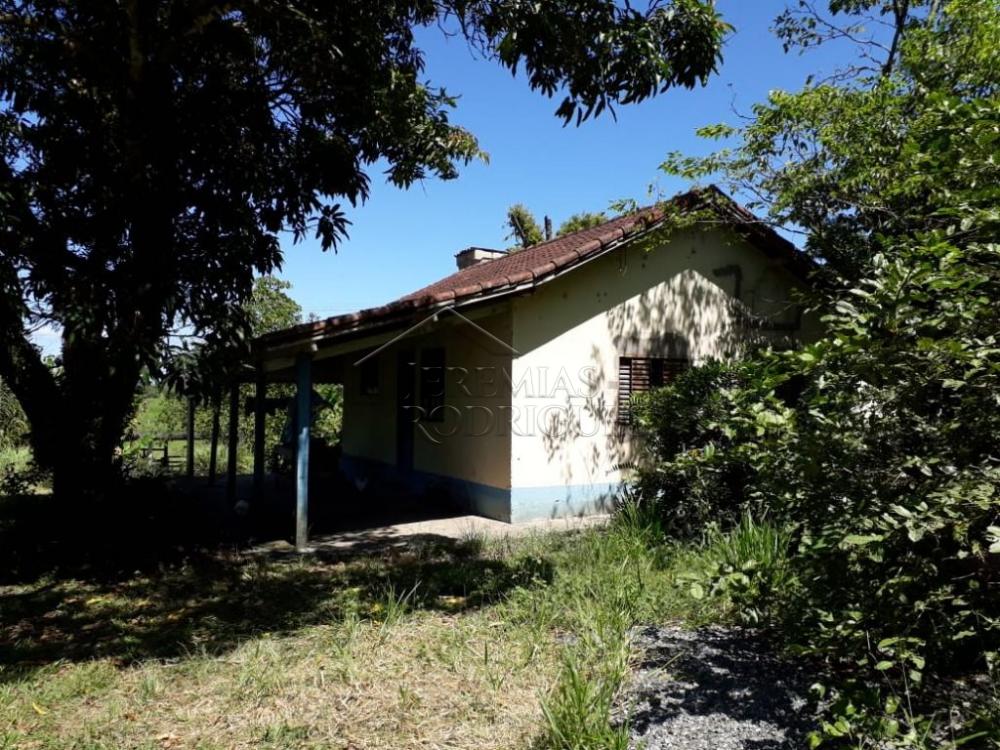 Sitio com 3 dormitórios, 250 m² - Bom sucesso - Pindamonhangaba/SP