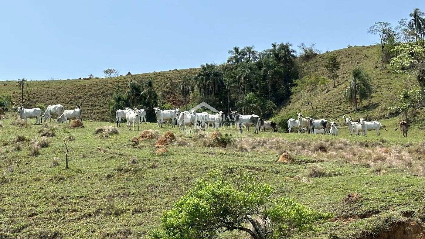 Fazenda à venda em Lorena/SP