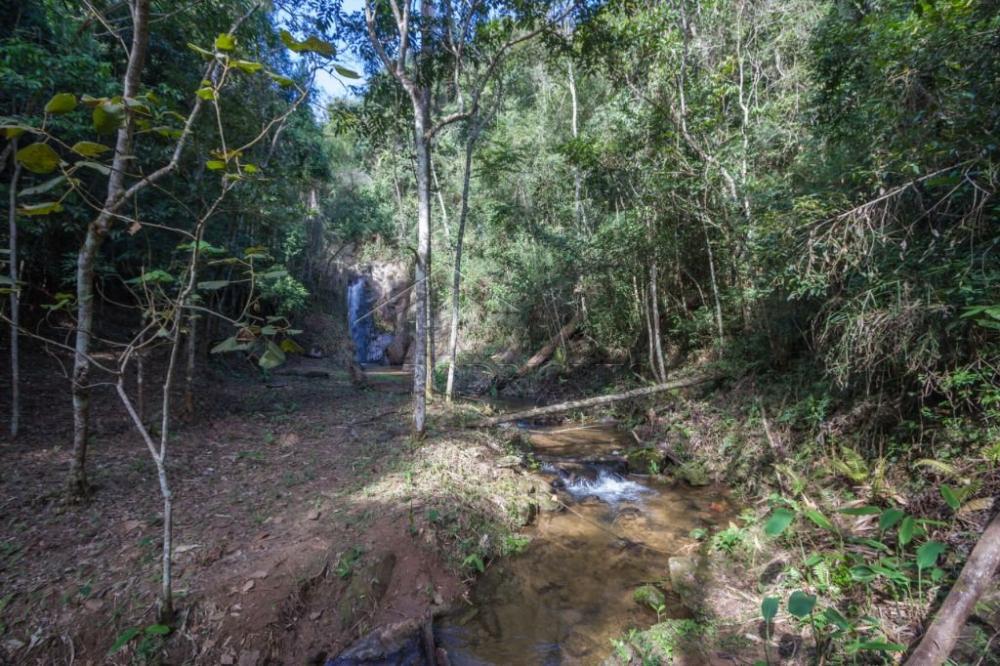 Rural misto à venda por R$ 20.000.000,00 - Roseira/SP