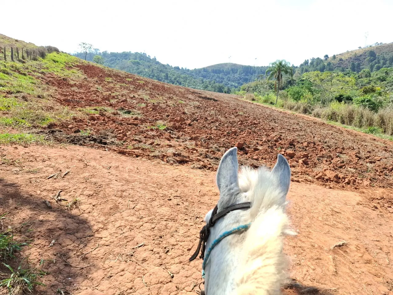 Fazenda à venda com 60 alqueires em Lorena/SP. 