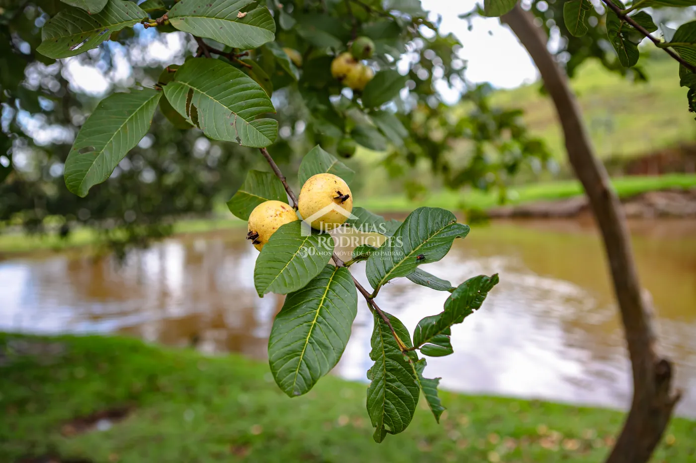 Fazenda com 2.808.000 m² - Caçapava/SP