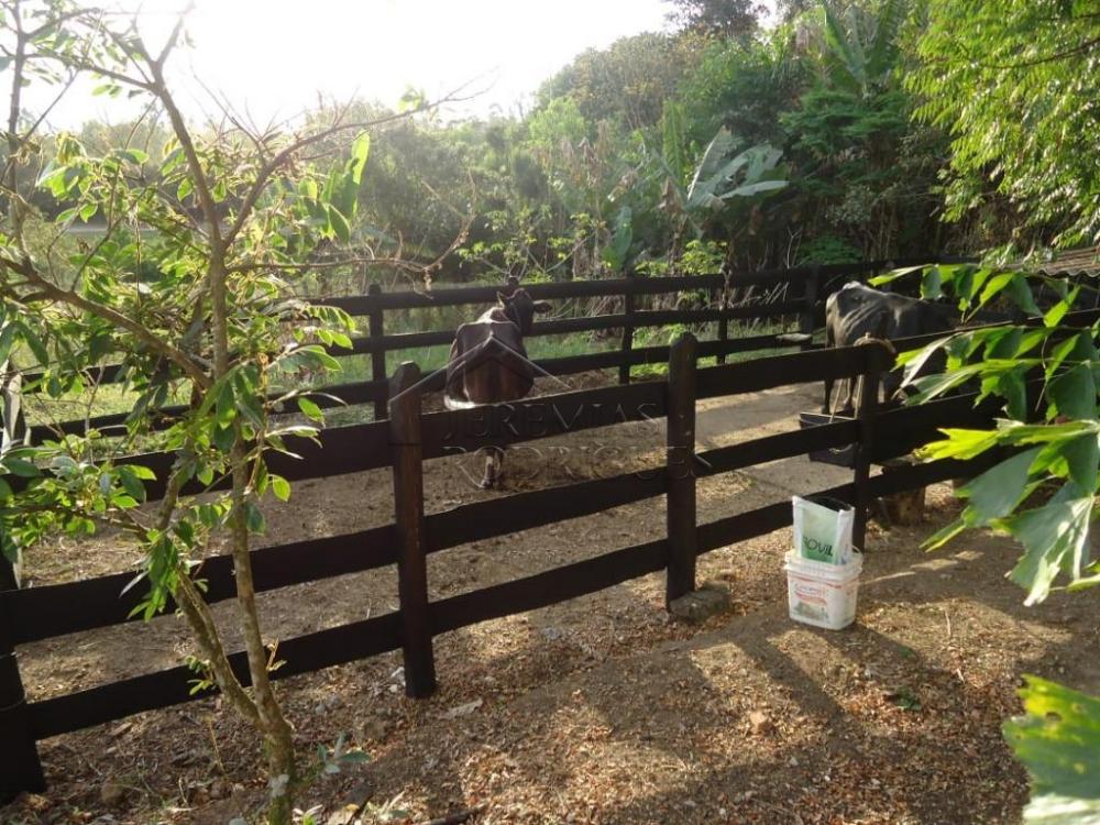 Rural misto à venda por R$ 1.500.000,00 - Pindamonhangaba/SP
