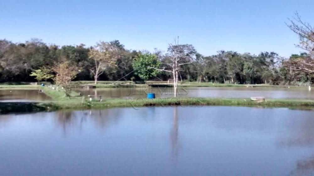 Rural misto à venda por R$ 1.500.000,00 - Pindamonhangaba/SP