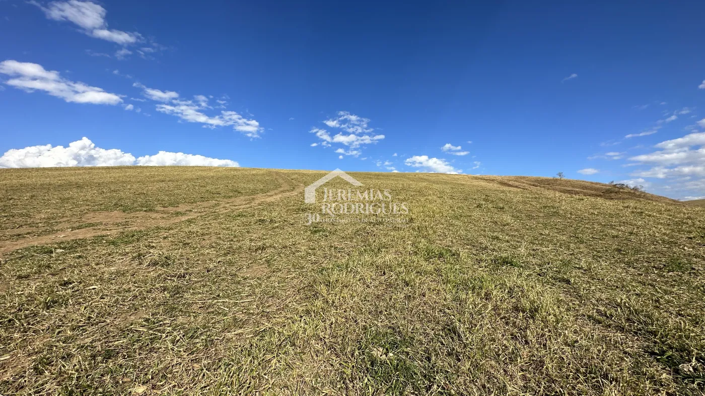 Fazenda para criação de gado de corte e plantação de milho, com mais de 612 hectares, em Cruzeiro-SP.