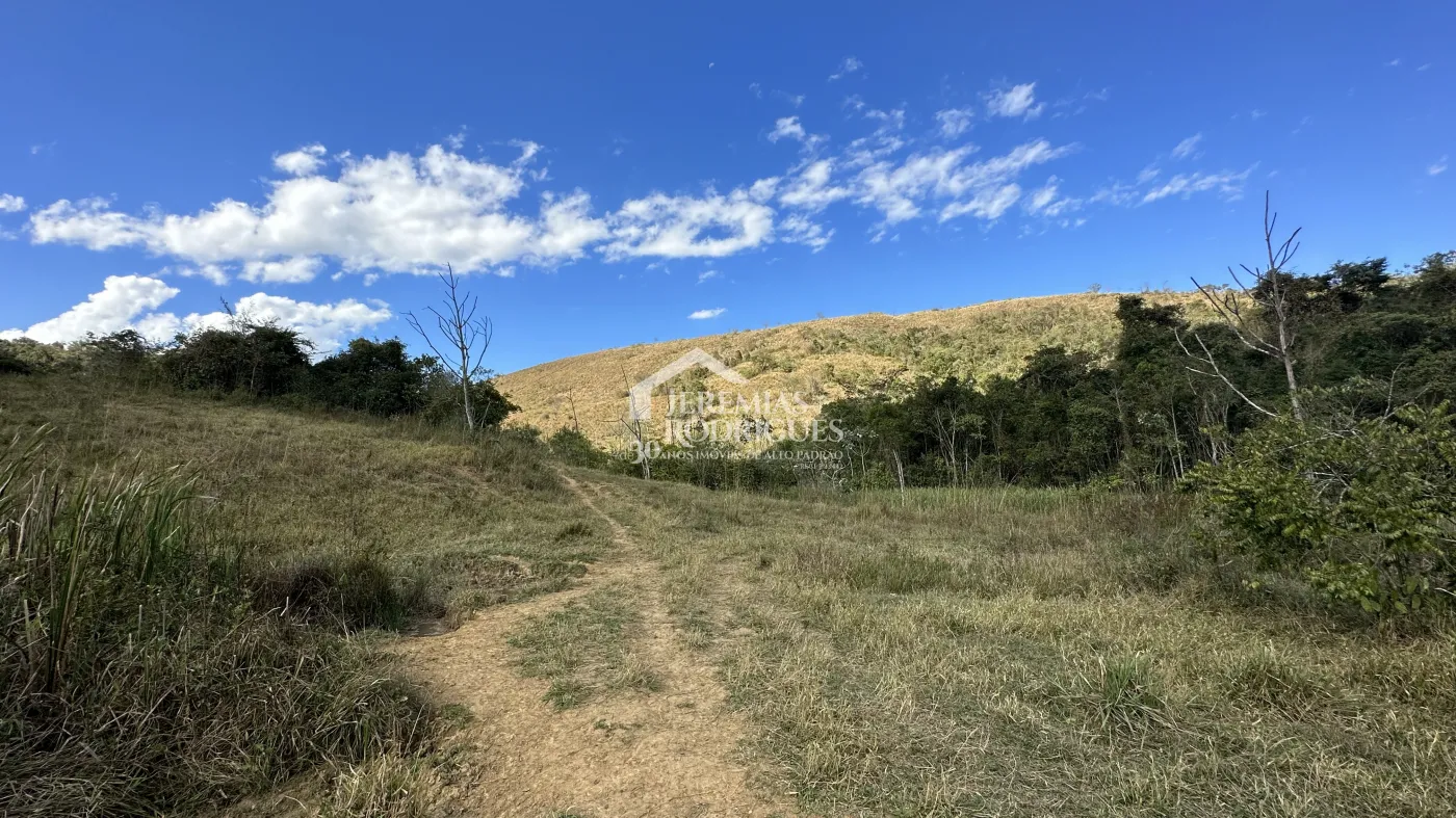 Fazenda para criação de gado de corte e plantação de milho, com mais de 612 hectares, em Cruzeiro-SP.
