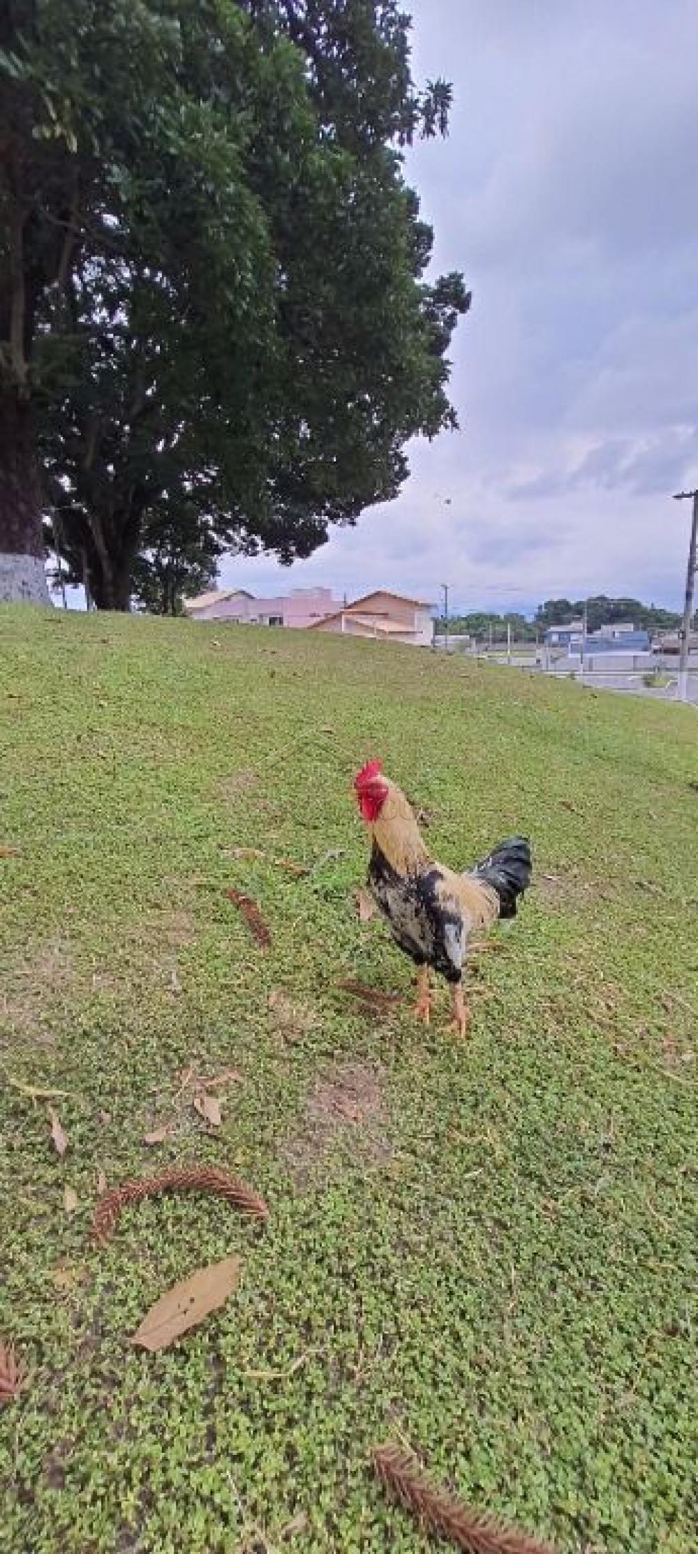Casa à venda com 3 suítes no Condomínio Parque das Araucárias em Tremembé/SP.