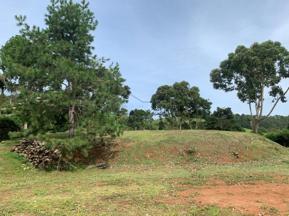 Terreno residencial à venda por R$ 850.000,00 - Santo Antônio do Pinhal/SP