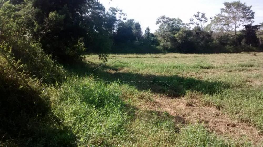 Rural misto à venda por R$ 1.500.000,00 - Pindamonhangaba/SP
