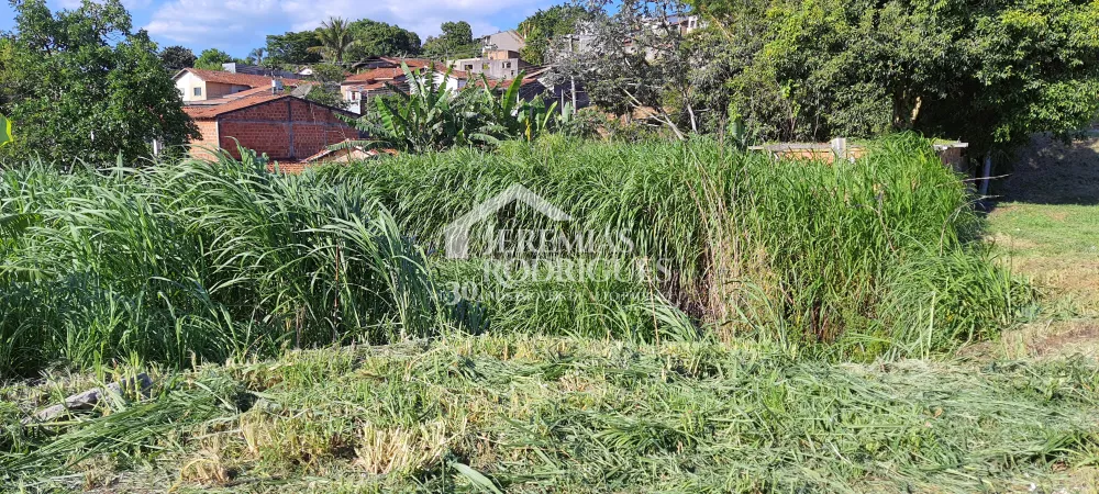 Terreno com 1300 m² - Jardim Paulista - Taubaté/SP
