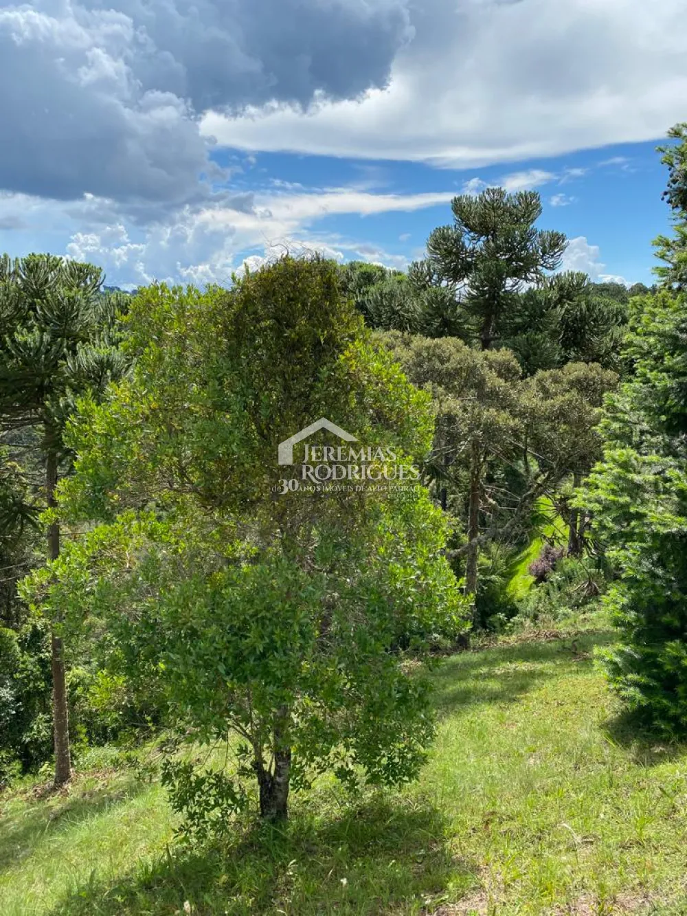 Terreno, 1.088 m², à venda por R$ 1.200.000 - Condomínio Reserva Figueiredo - Campos do Jordão/SP