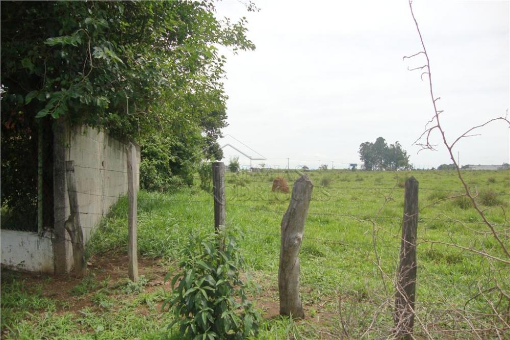 Área rural à venda com 123.247 m² no bairro Jardim Regina em Pindamonhangaba/SP.