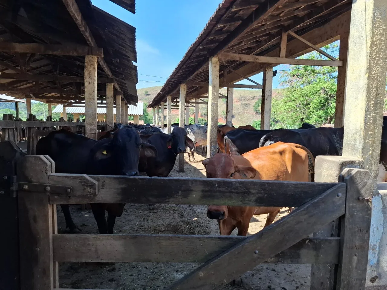 Fazenda à venda com 60 alqueires em Lorena/SP. 