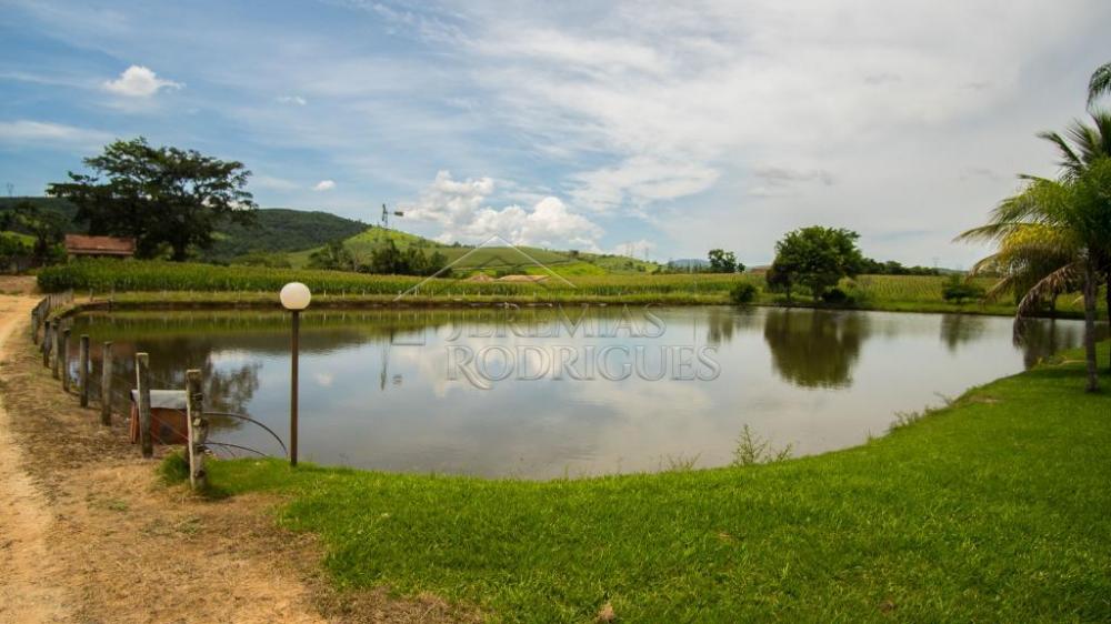 Fazenda à venda em Pindamonhangaba/SP