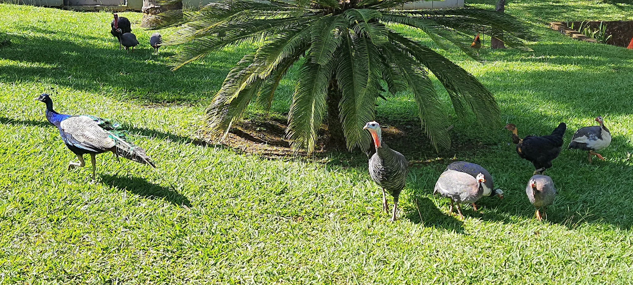 Sitio à venda no bairro Registro em Taubaté/SP.