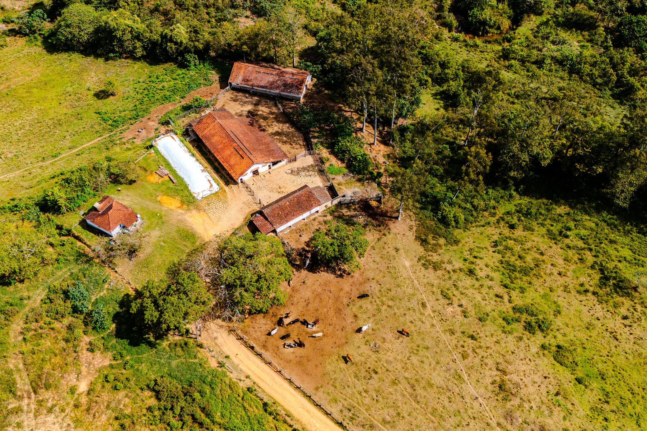 Haras à venda com 291 hectares em Arapeí/SP.