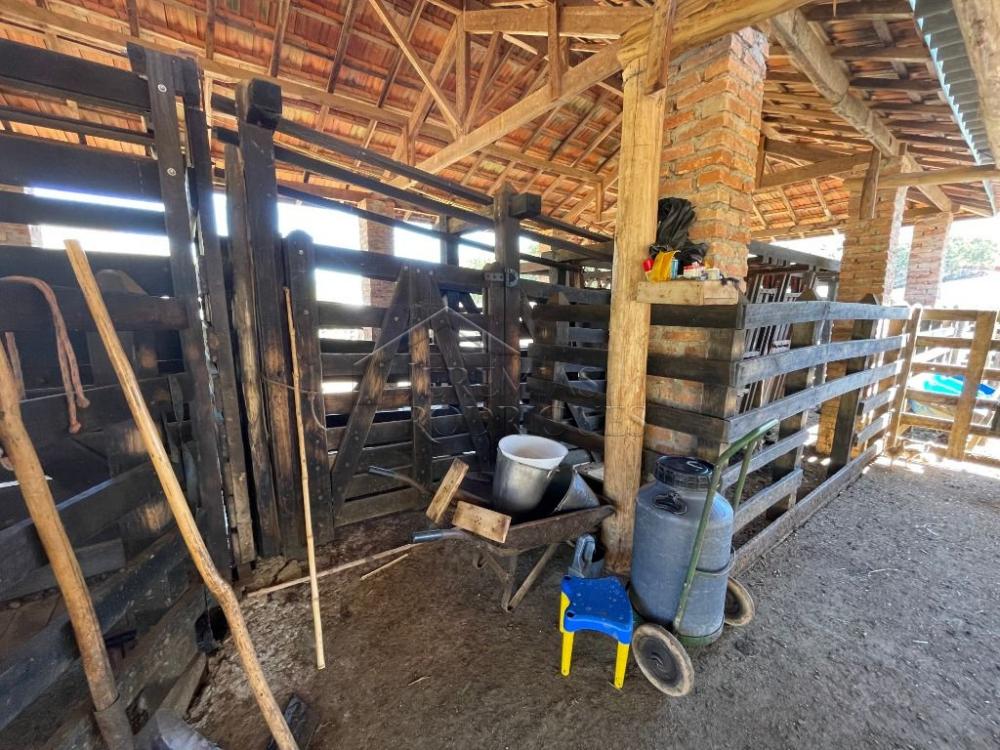 Fazenda com 2 quartos, 2.553.500 m², à venda por R$ 5.800.000- Lorena - Lorena/SP