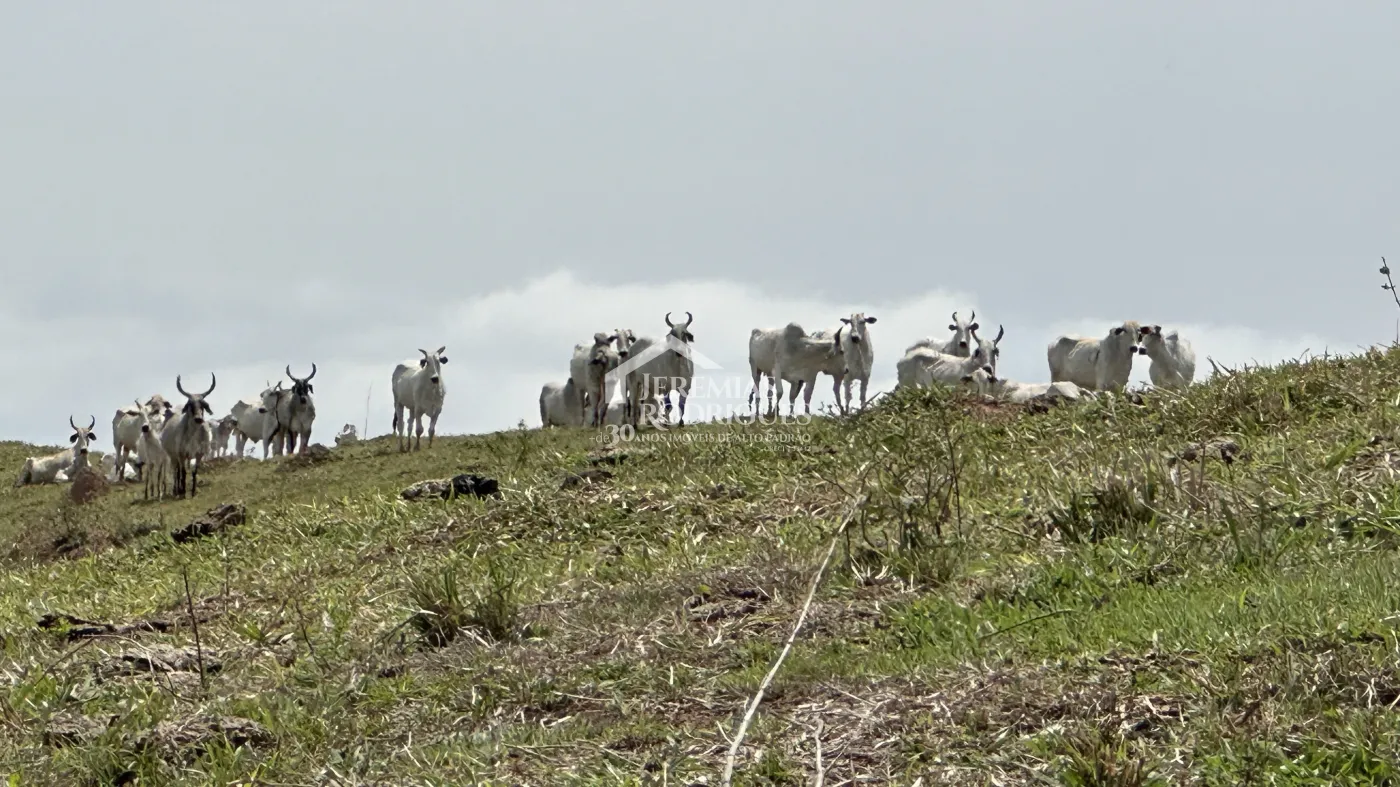 Fazenda à venda em Lorena/SP