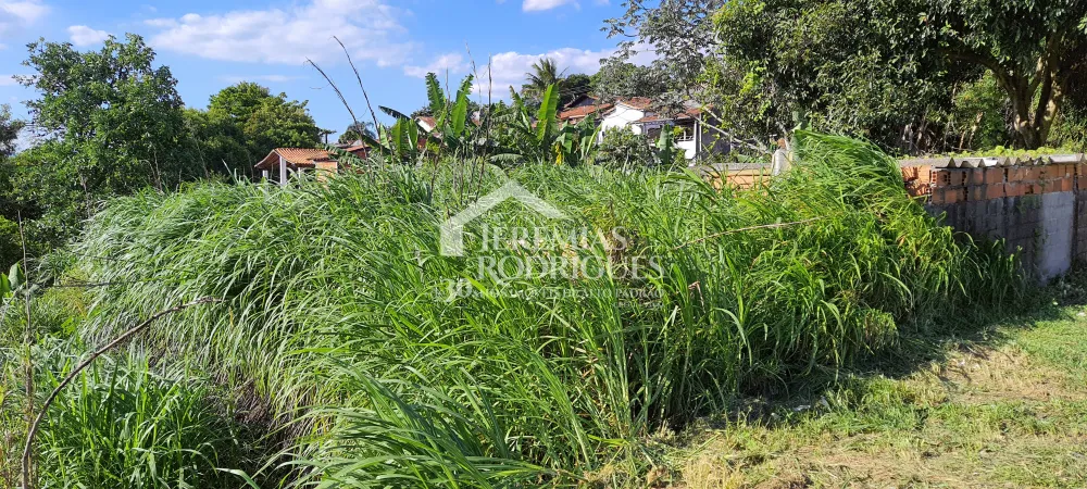 Terreno com 1300 m² - Jardim Paulista - Taubaté/SP