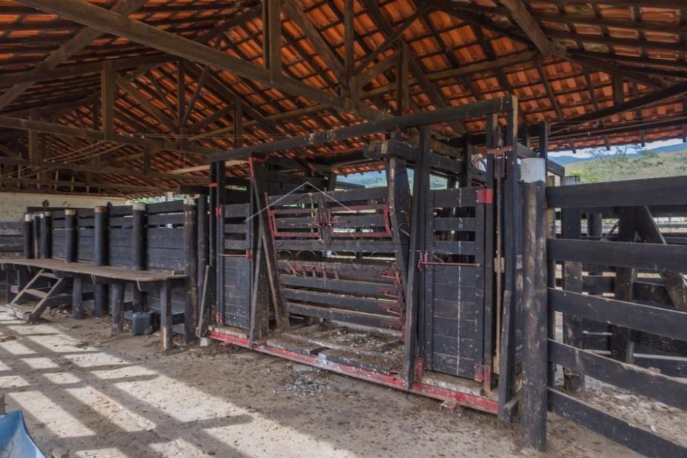 Rural misto à venda por R$ 20.000.000,00 - Roseira/SP