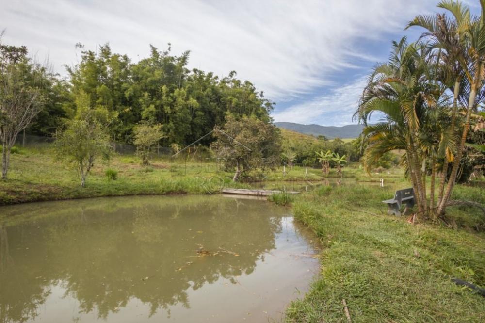 Rural misto à venda por R$ 20.000.000,00 - Roseira/SP