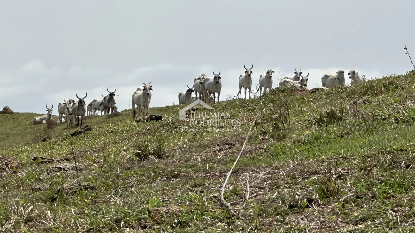 Fazenda à venda em Lorena/SP