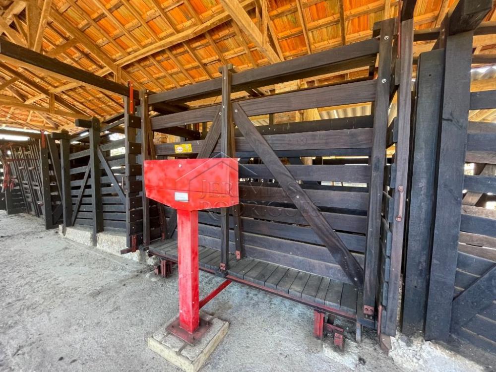 Fazenda com 2 quartos, 2.553.500 m², à venda por R$ 5.800.000- Lorena - Lorena/SP