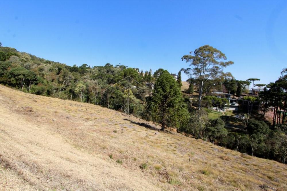Terreno residencial à venda por R$ 1.300.000,00 - Campos do Jordão/SP