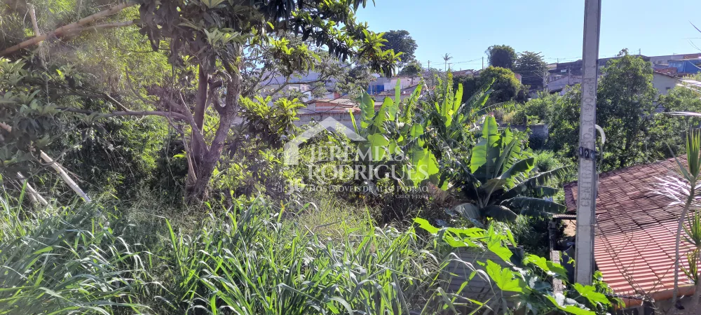Terreno com 1300 m² - Jardim Paulista - Taubaté/SP