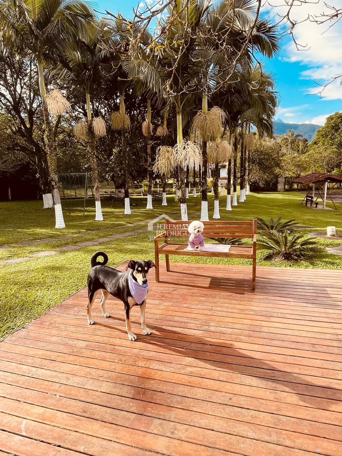 Rural misto à venda por R$ 1.800.000,00 - Pindamonhangaba/SP