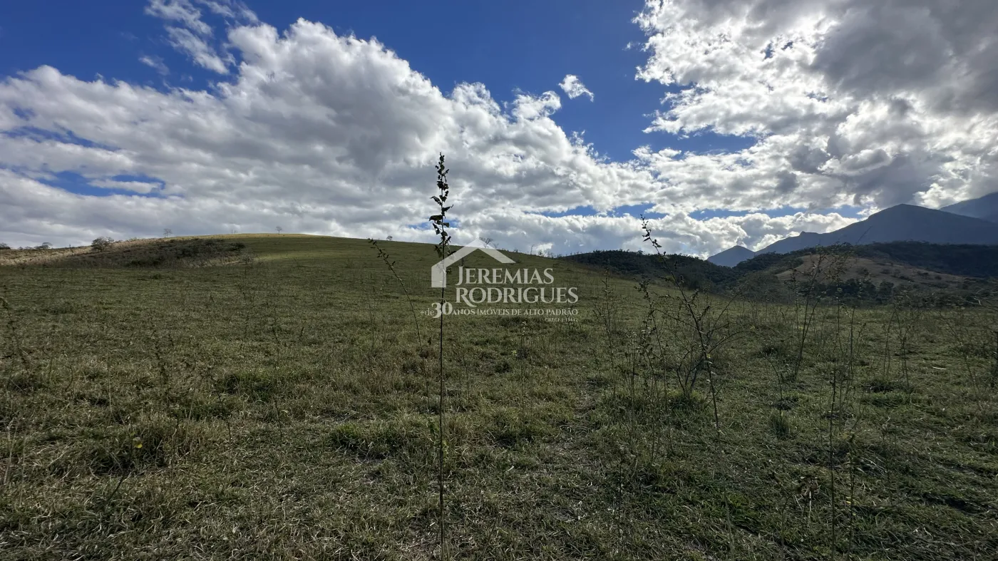 Fazenda para criação de gado de corte e plantação de milho, com mais de 612 hectares, em Cruzeiro-SP.