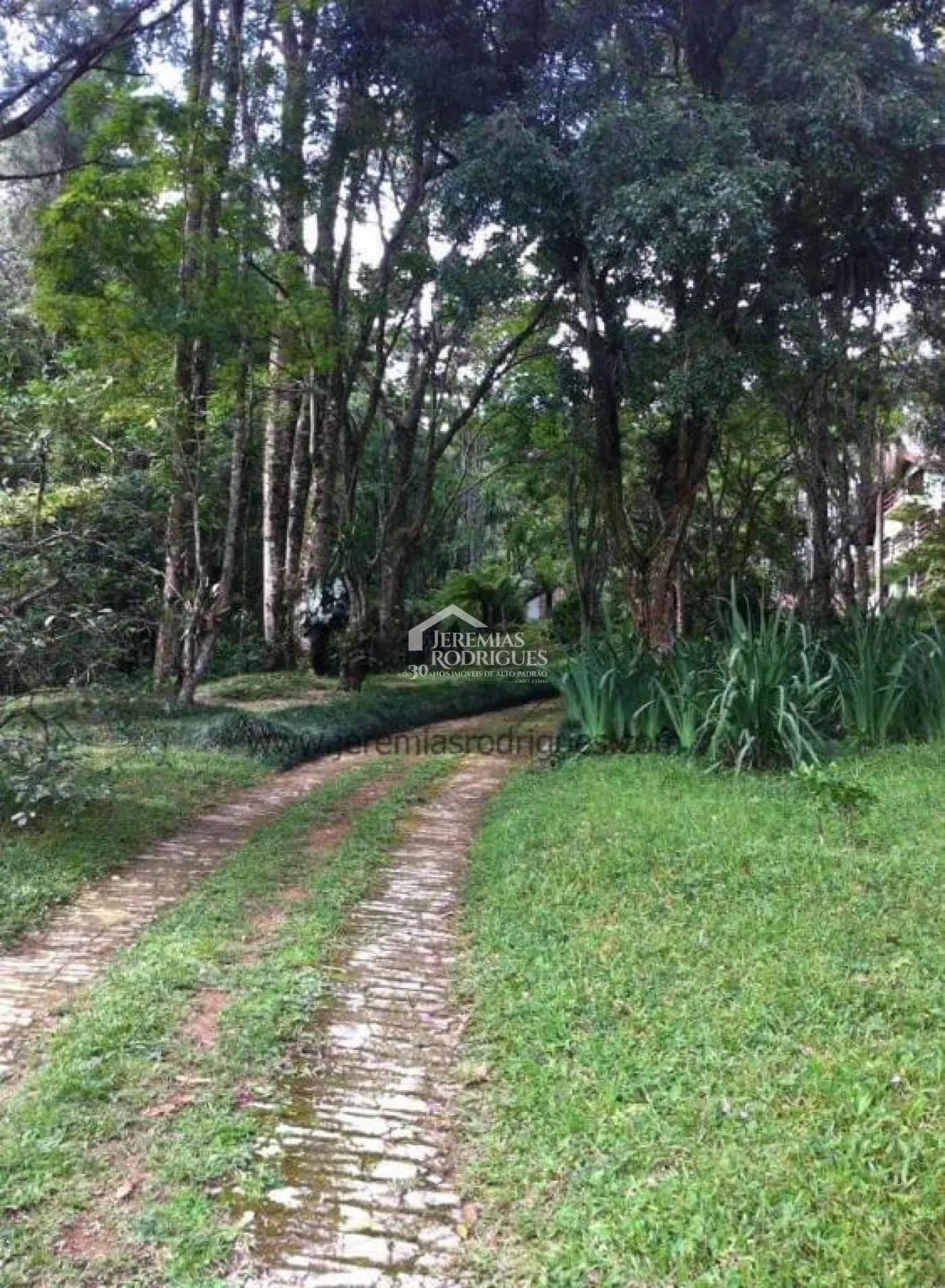 Haras com 86,4 hectares - Sapucaí-Mirim/MG