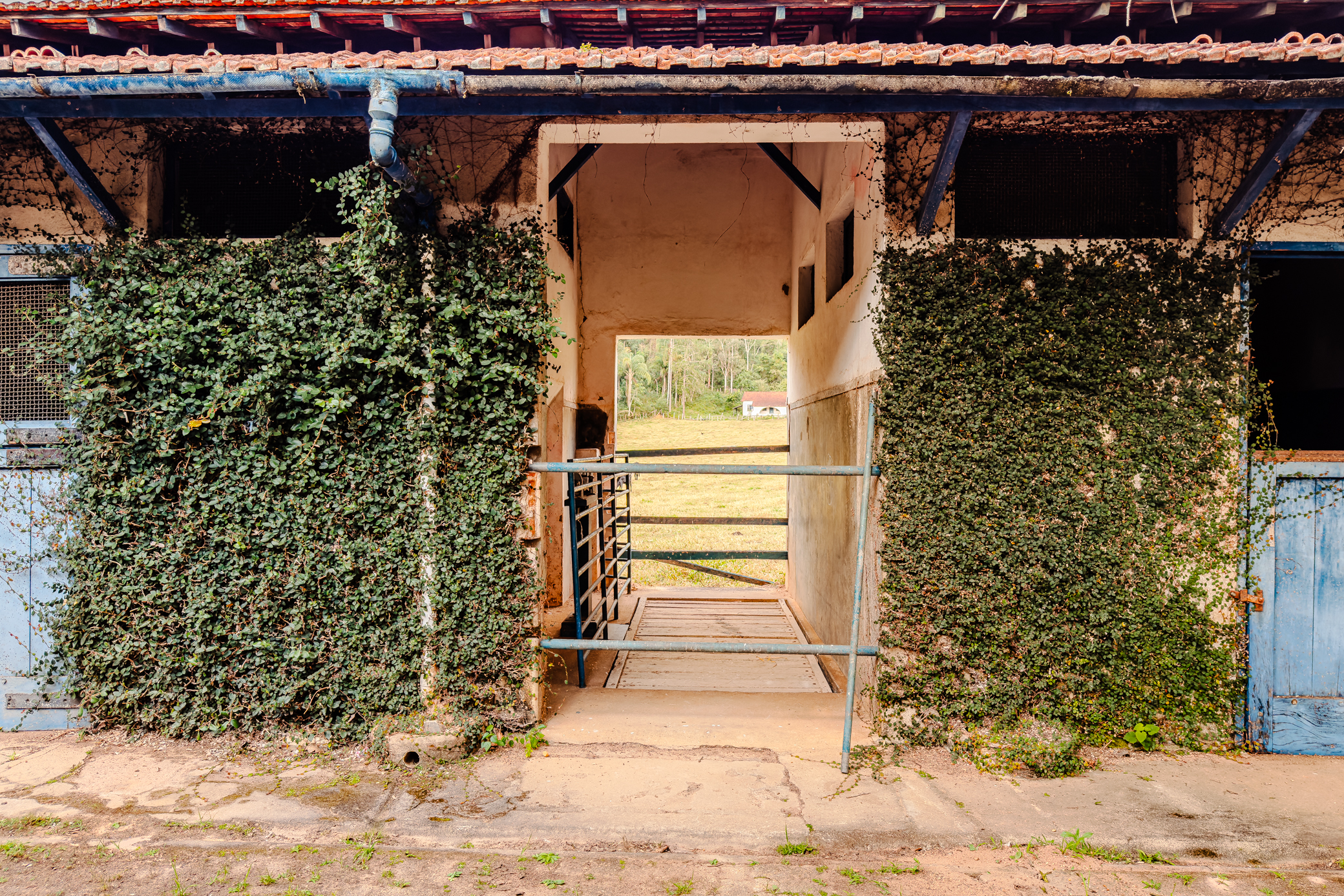 Haras à venda com 291 hectares em Arapeí/SP.