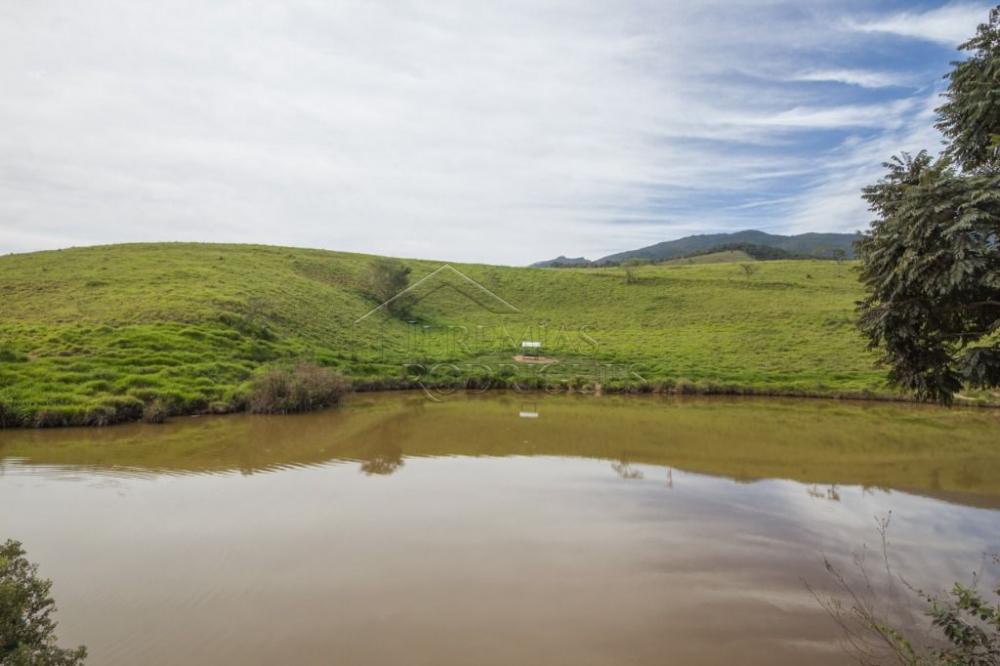 Rural misto à venda por R$ 20.000.000,00 - Roseira/SP