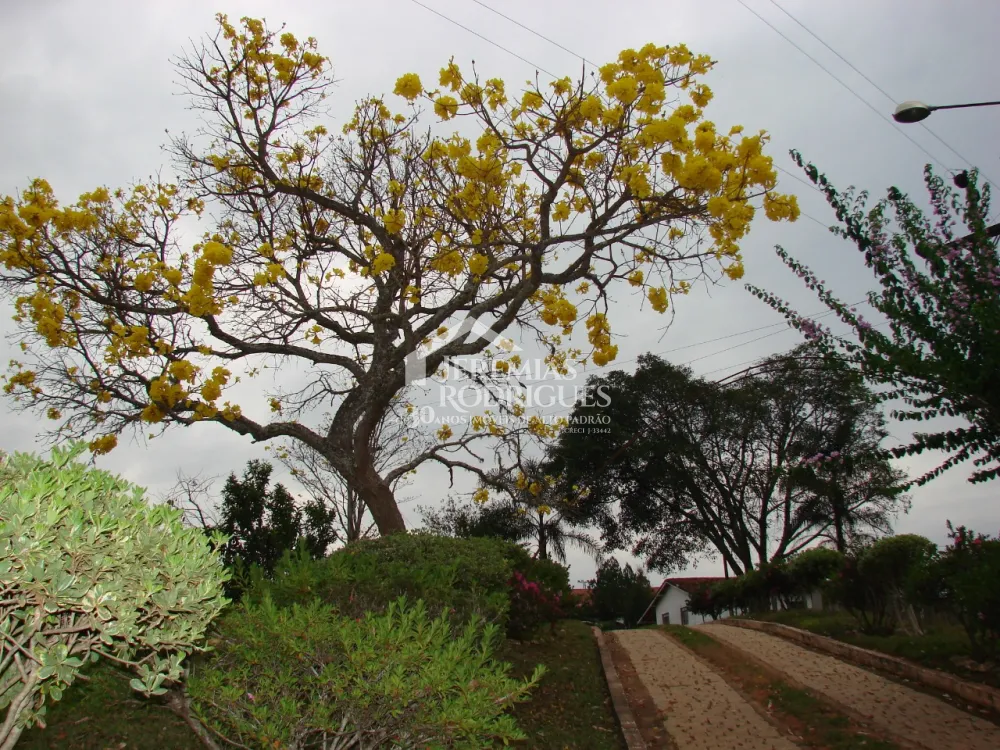 Fazenda com 5 quartos,  à venda por R$ 8.000.000 - Cunha/SP