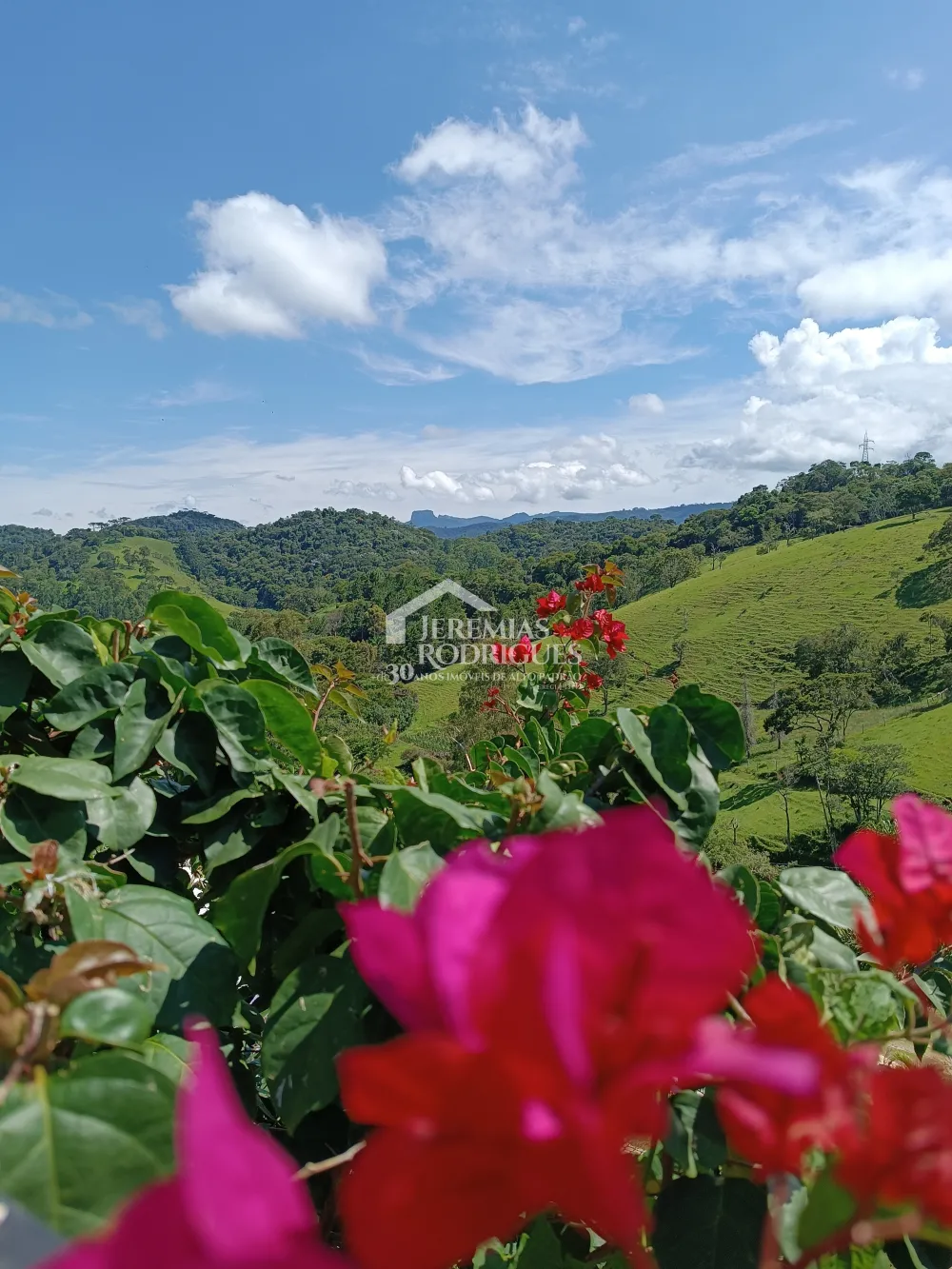 Casa com 4 dormitórios, 277 m² - Santo Antônio do Pinhal/SP