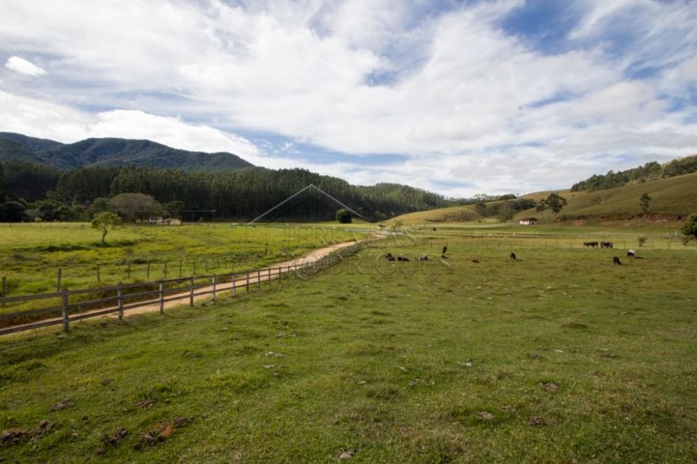 Fazenda com 4 dormitórios à venda, 968.000 m² - Lagoinha/SP