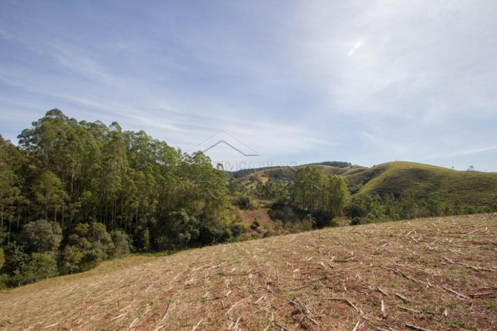 Rural misto à venda por R$ 4.500.000,00 - Lagoinha/SP