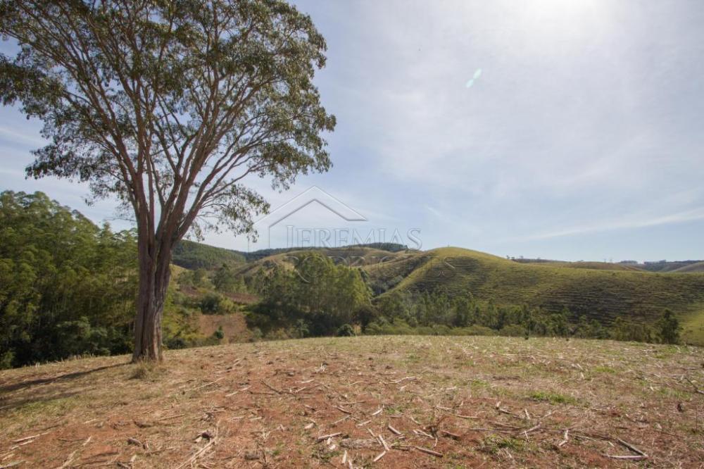 Rural misto à venda por R$ 4.500.000,00 - Lagoinha/SP