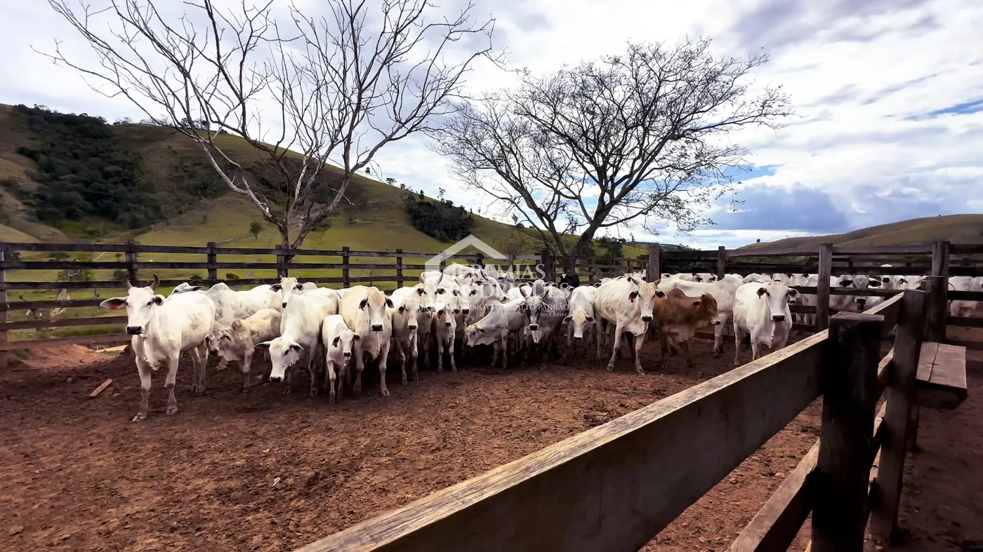 Fazenda à venda com 2.544 hectares em Santa Branca/SP.