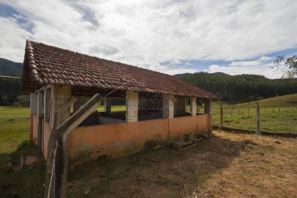 Fazenda com 4 dormitórios à venda, 968.000 m² - Lagoinha/SP