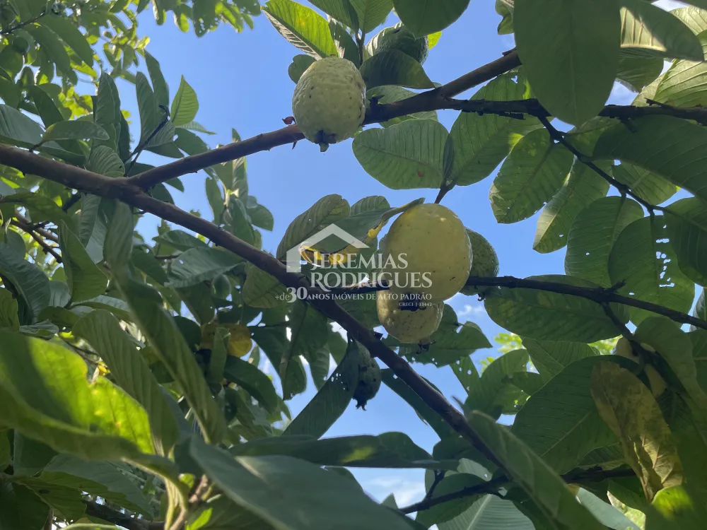 Chácara com 3 quartos, 3.901 m² - Sapé I - Caçapava/SP