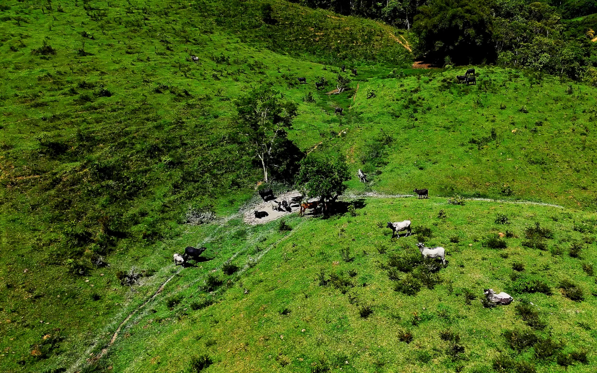 Fazenda à venda com 78 hectares em São José do Barreiro/SP. 