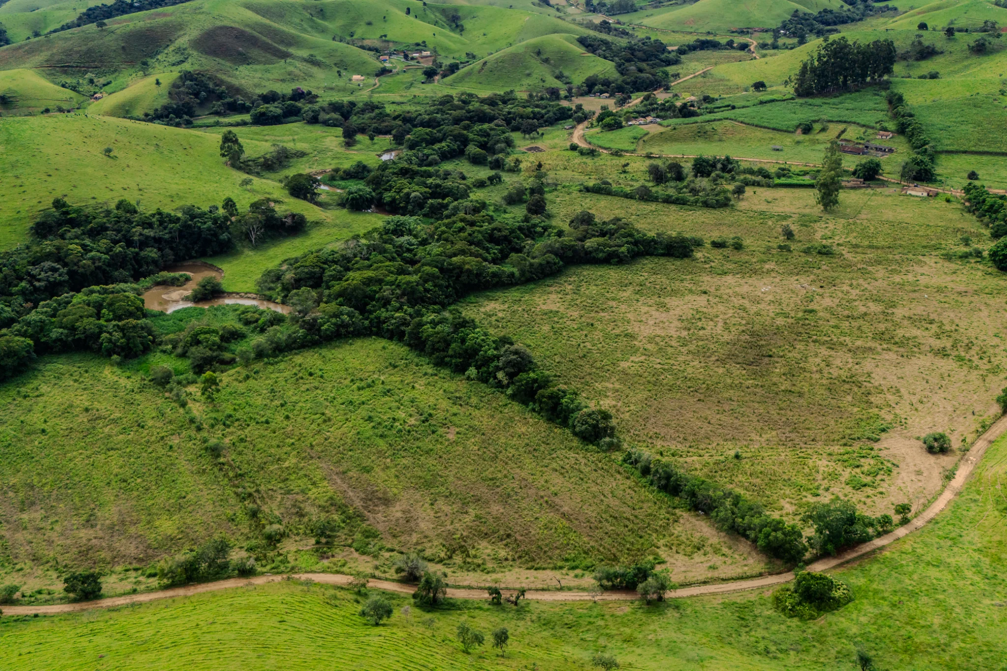 Fazenda á venda com 240 hectares em Cunha/SP. — foto 11