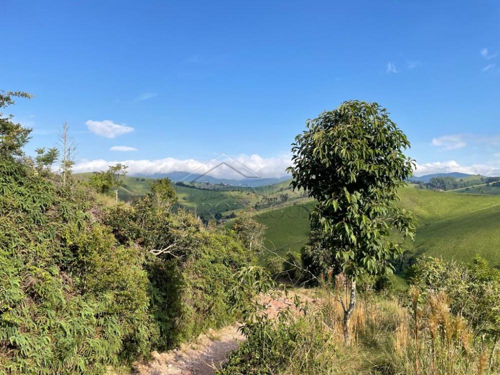 Fazenda à venda em Cunha/SP
